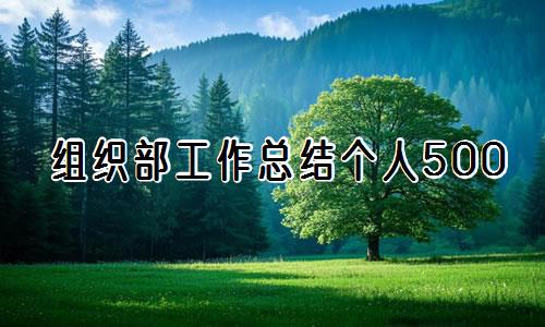 制定篮球交流计划以促进个人技能发展的方法_2